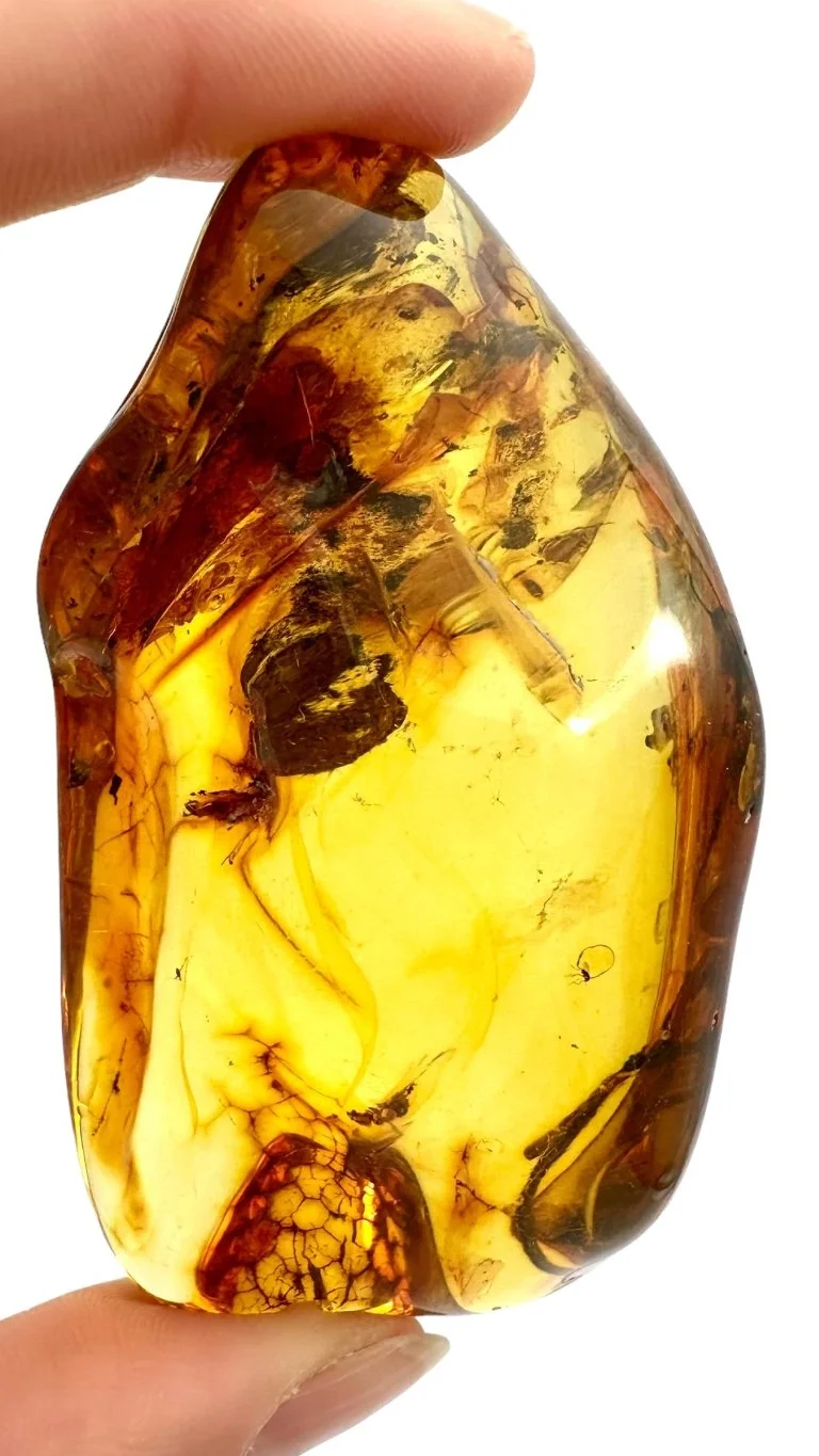 amber-background-V11